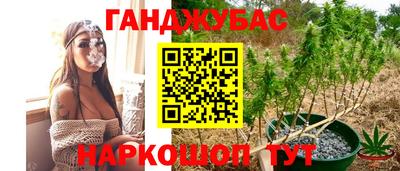 mdpv Можга