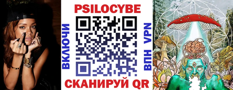 Псилоцибиновые грибы Psilocybine cubensis  Павловский Посад 