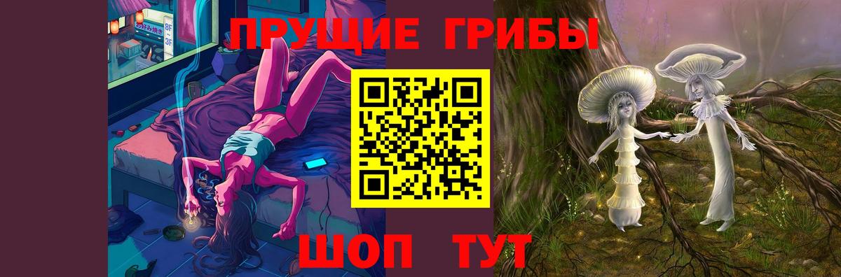 Псилоцибиновые грибы GOLDEN TEACHER Павловский Посад